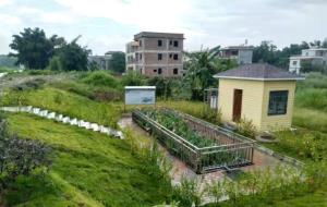 農(nóng)村生活污水——地理和半地埋式污水工程